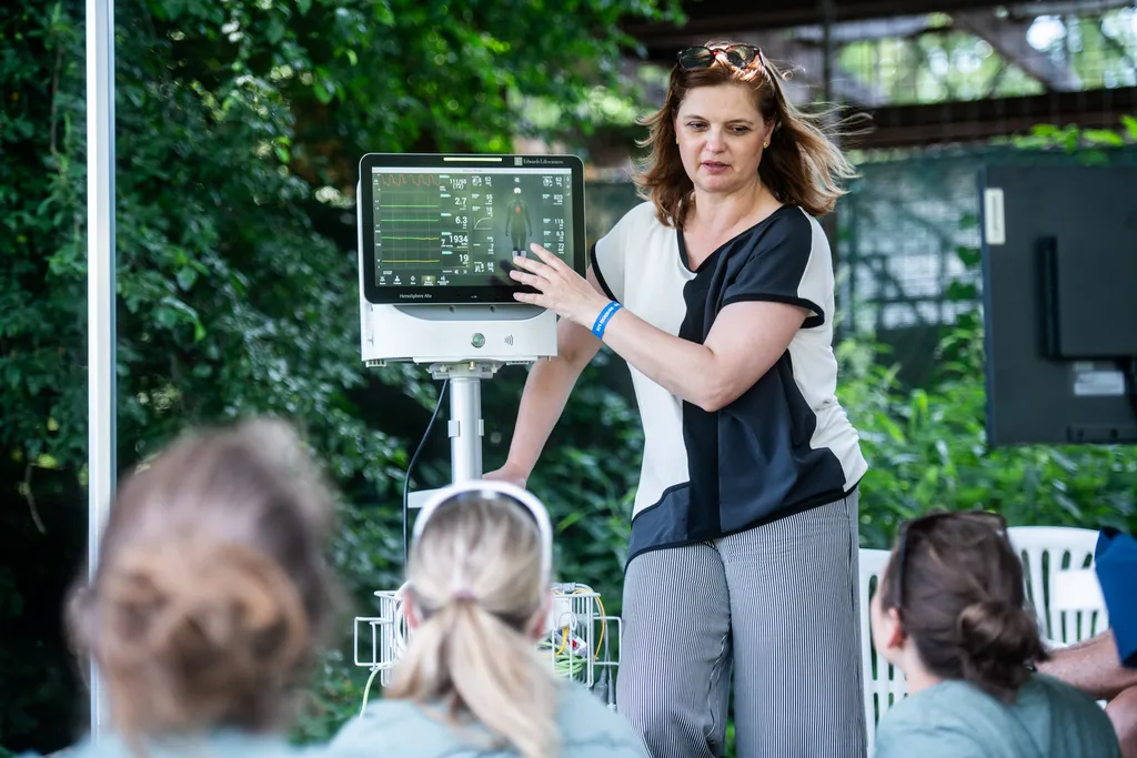 Summer Camp fotografie
